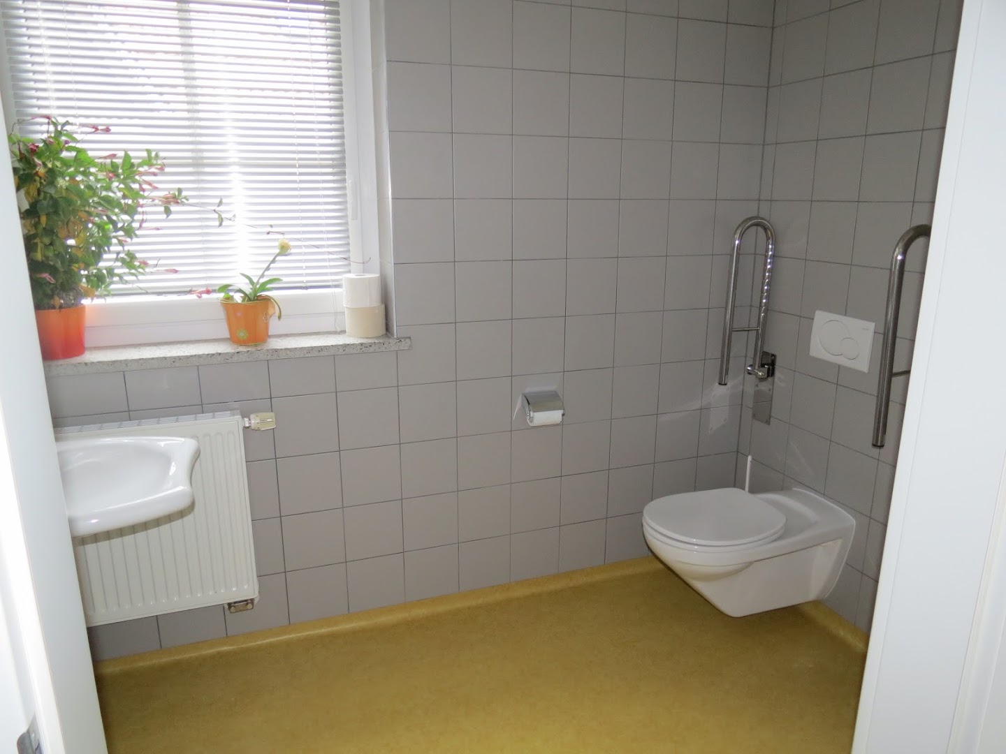 Physiotherapiepraxis & Hippotherapie Katrin Friedrich · Fotos 5